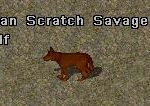 Clan_scratch_savage_wolf